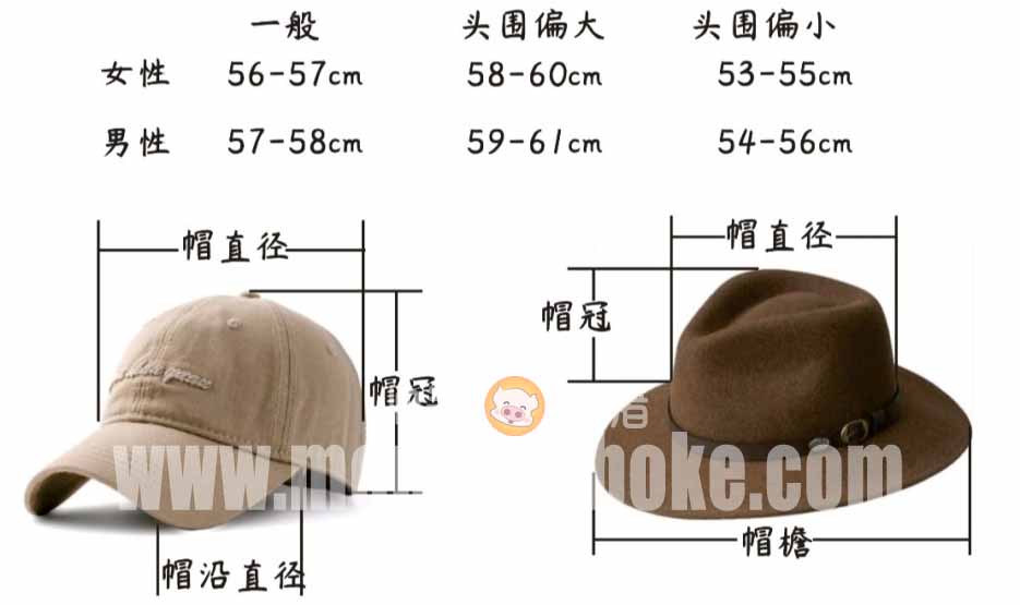 张家口市新的社会阶层人士联谊会成立