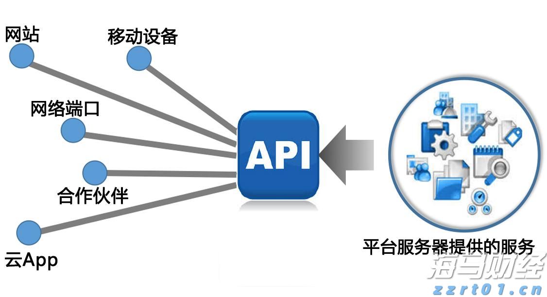 霞山区“红树林保护协作探索工作室”正式揭牌
