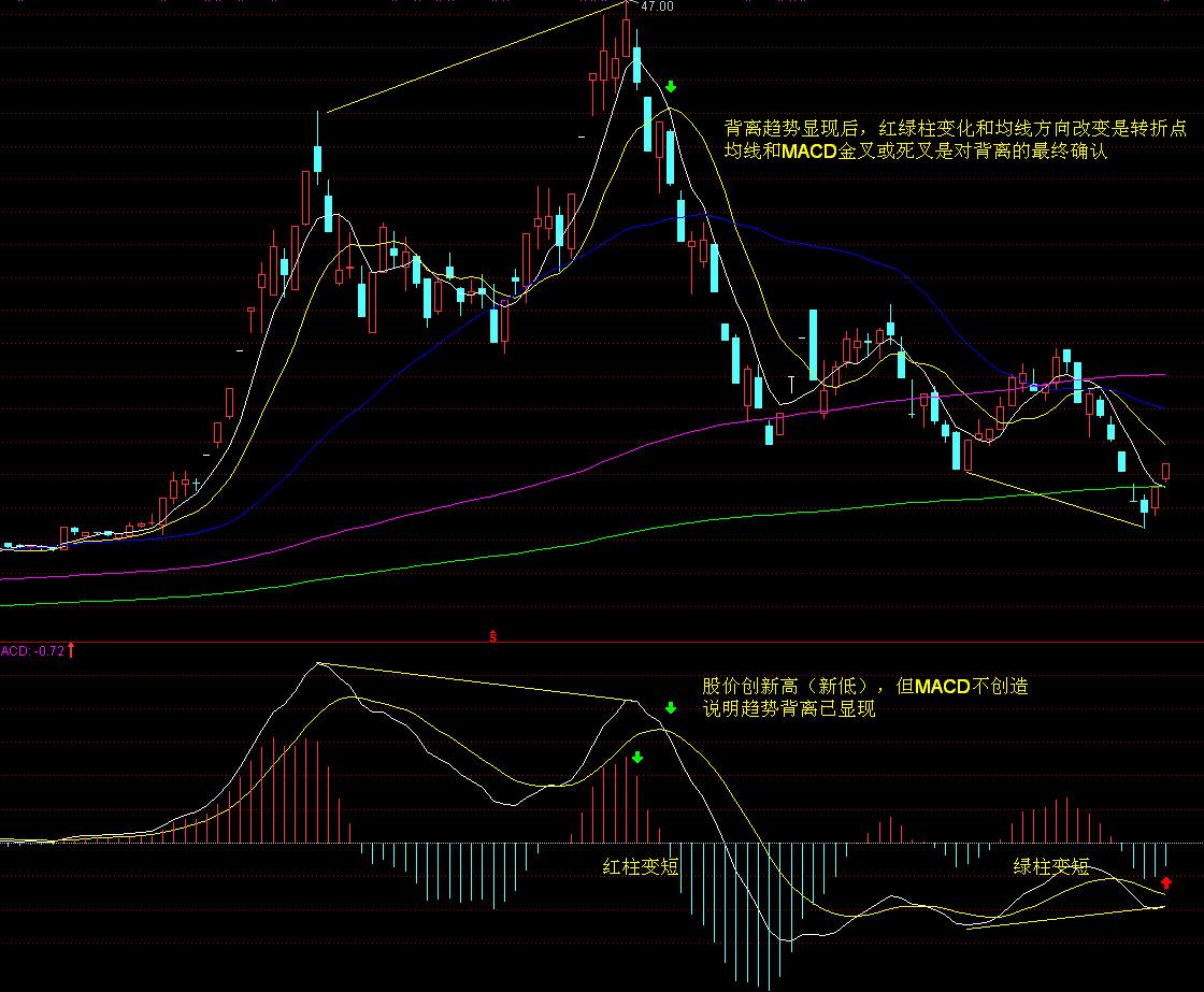 春节假期港南区接待游客近65万人次