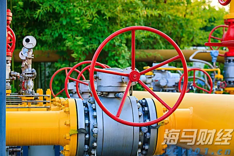 我市健儿在广西第十四届学生运动会斩获佳绩